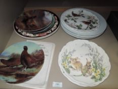 A collection of display plates and dinner plates including Masons.