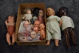 A shelf of 1950's and later composition, celluloid and similar dolls including Armand Marseille