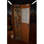 A vintage resin student skeleton in case, with bone chart , or ideal for Haloween