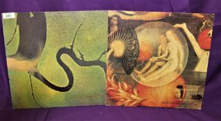 A two album lot of ' Dead Can Dance ' vinyl records
