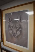 A Ltd Ed print, after Joel Kirk, wolf, signed and num 5/500, 55 x 43cm, plus frame and glazed