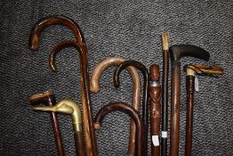 A selection of walking sticks and canes including brass duck head and horn handle