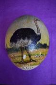 A hand decorated south African ostrich egg depicting an ostrich on the egg possibly dated 1908