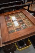 A stained pine wall display case containing dried grasses etc