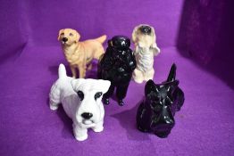 Five large Beswick dog figure studies, Pekinese 2982, Sealyham 971, Scottie 2037, Poodle 2339 and