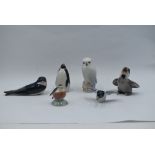 Six Royal Copenhagen studies, Flying Duck 24, Baby Robin 2238, Swallow 2374, Owl 1741, Baby