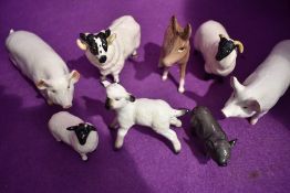 A selection of Beswick studies of farm animals including two sheep, two lambs, two pigs, one