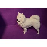 A mid 20th century German Nymphenburg study, Samoyed Dog 698 by Konrad Schmid