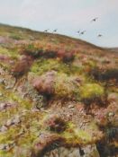 An oil painting, Roger McPhail, Grouse on the Rocks, signed and attributed verso, 53 x 30cm, plus