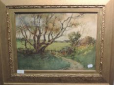 A watercolour, Tom Terris, country lane, signed and dated, 1899, 29 x 39cm, plus frame and glazed