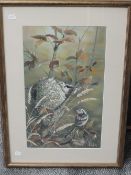 A gouache painting, R Duffield, Long Tail Tits, signed, 50 x 30cm, plus frame and glaze