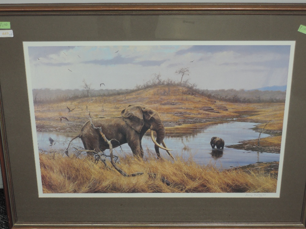 A set of four prints, after Larry Norton, elephants, 3 signed, inc artist...