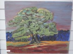 An oil painting, G E Moore, study of tree, signed and dated (19)54, 50 x 60cm