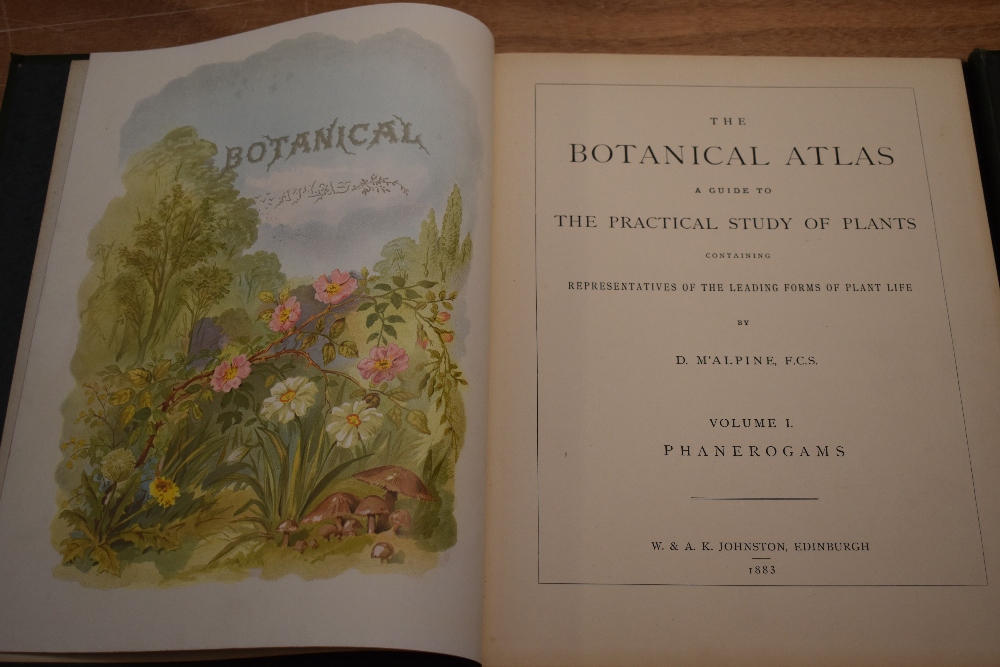 Antiquarian. M'Alpine, D. - The Botanical Atlas: A Guide to the Practical Study of Plants, &c. - Image 2 of 4