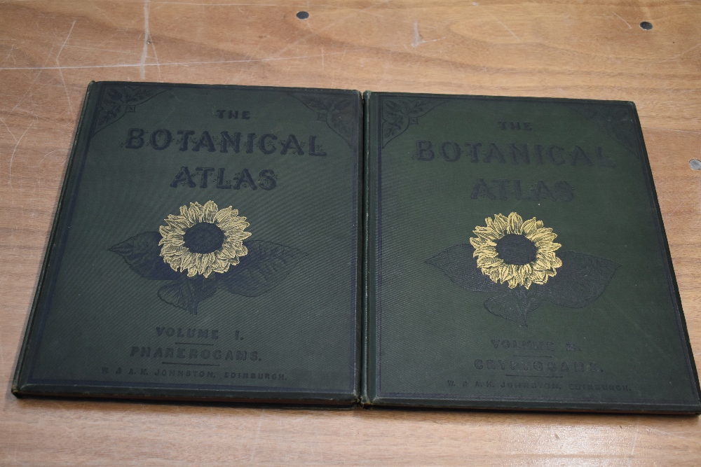 Antiquarian. M'Alpine, D. - The Botanical Atlas: A Guide to the Practical Study of Plants, &c.