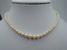 A string of graduated cultured pearls with tongue and box clasp, approx 16'