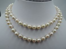 A double knotted string of cultured pearls of even form with engraved 9ct gold box clasp, approx