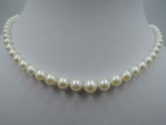 A string of graduated cultured pearls with silver clasp, approx 20'