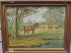 An oil painting on board, wild horses, 30 x 40cm, plus frame