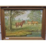 An oil painting on board, wild horses, 30 x 40cm, plus frame