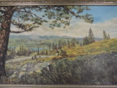 An oil painting, John Wilkinson, country landscape, 60 x 100cm, plus frame