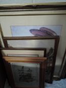 A selection of prints and picture frames