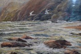 A pastel Over a Rocky Shoreline by Robert Dutton. Signed framed and glazed