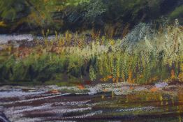 A soft pastel Ripples in the Rushes by Diana De Gruyther. Signed framed and glazed