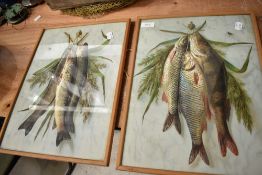 Two three dimensional pictures of Trout and Greyling.