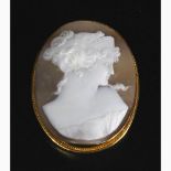 Sardonica shell cameo pendant brooch - XIX Century - Manifacture Ascione, Torre del Greco