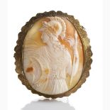 Shell carved cameo