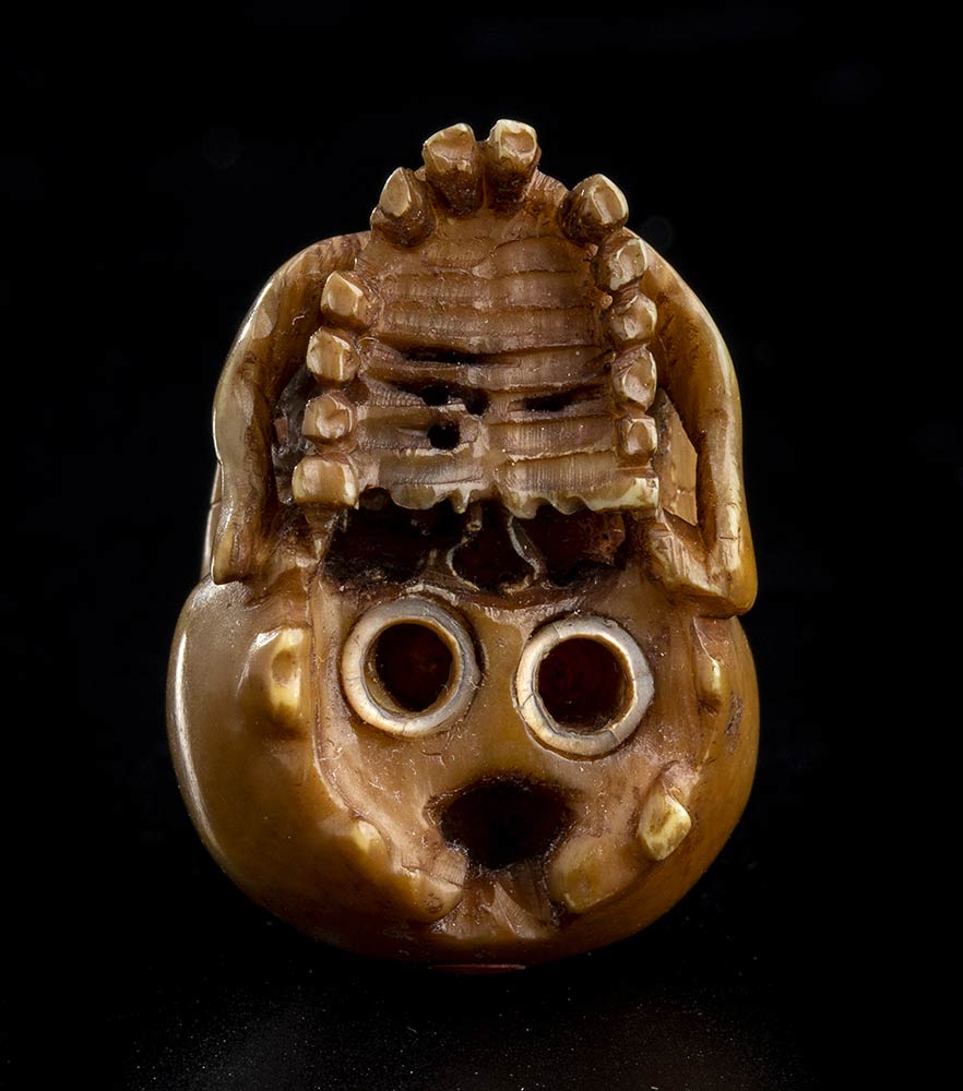 AN IVORY OKIMONO WITH A SKULLJapan, Meiji period - Image 5 of 6