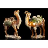 TWO SANCAI GLAZED CERAMIC SCULPTURES OF CAPARISONED BACTRIAN CAMELS China, Tang dynasty style