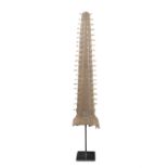 NATURAL HISTORY SPECIMEN A Sawfish Rostrum, displayed in its natural form with 21 pointed teeth to