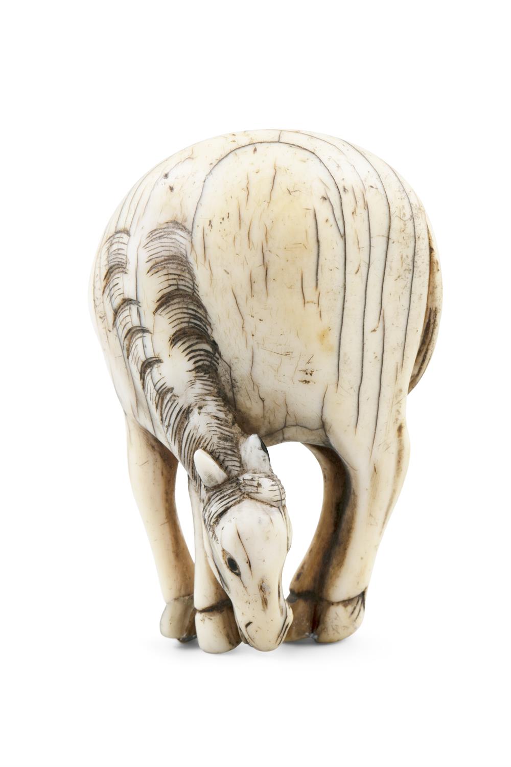 *AN IVORY 'GRAZING HORSE' KATABORI NETSUKE Japan, Edo period Unsigned. Pierced with two himotoshi. - Image 4 of 6