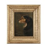 WRIGHT BARKER (1864-1941) Head portrait of a black and tan collie Oil on canvas, 27.5 x 21.