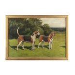 GEORGE PAICE (1854–1925) A collection of five depictions of hounds of the Coollattin Hunt,