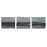 MARY LOHAN (b.1954) Rain Coming In IV Triptych, oil on canvas, each panel 25.5 x 35.