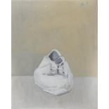 CHARLES BRADY HRHA (1926-1997) Tennis Shoe Oil on paper laid on board, 44.5 x 34cm Signed