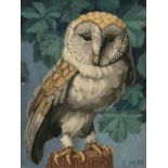 Edward McGuire (1932-1986) Barn Owl Oil on board, 30 x 22cm (11¾ x 8¾'') Signed with initials