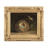 VICTORIAN SCHOOL Still life with Robins Eggs Oil on canvas, 23 x 27cm Signed