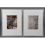 A pair of contemporary abstract coloured photographs, each signed indistinctly to lower margin &