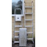 Two aluminium ladders.