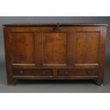 An 18th century joined oak coffer with three-panel front fitted two short drawers, the