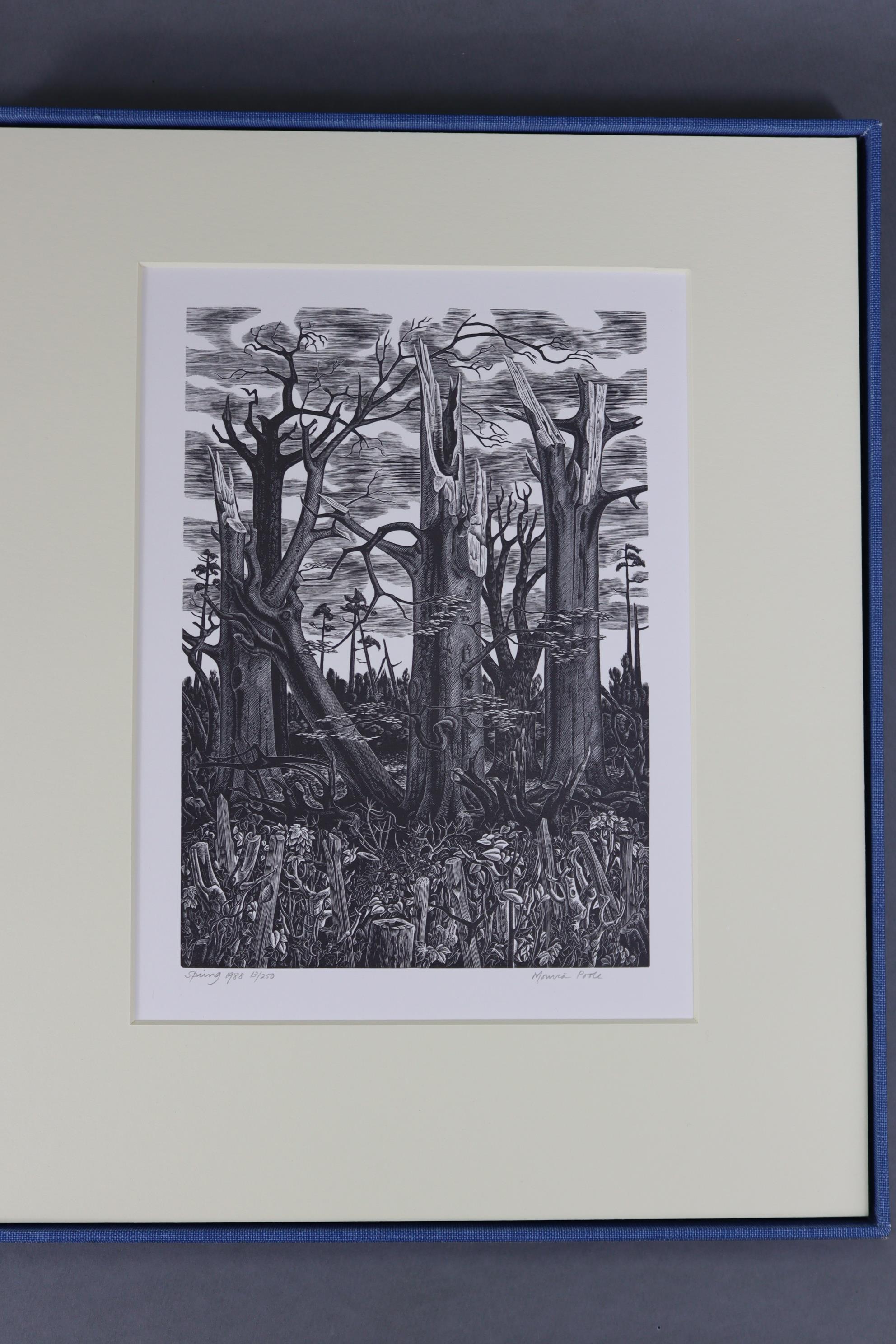 FLEECE PRESS: “The Great Storm of October 1987 & Its Aftermath”, five wood engravings by Claire - Image 3 of 6