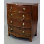 A regency-style mahogany small bow-front chest, fitted four long graduated drawers with brass lion-