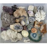 A collection of twenty-four various geological specimens – coral, amethyst, etc.