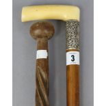 An Edwardian gent’s walking cane with ivory handle, & with embossed white-metal collar, 36” high; &