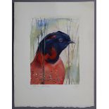 PAULA PATTERSON (contemporary). A study of a pheasant; watercolour on paper; signed & dated 1994