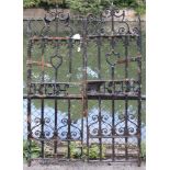 A pair of black painted wrought-iron garden gates of scroll design, each gate, 21¼” wide x 63½”